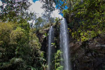 Hiking the waterfall circuit in Springbrook National Park, Queensland: Immersive trek through lush rainforest, unveiling stunning cascades like Purling Brook Falls and Twin Falls, a great adventure
