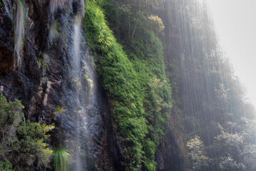 Hiking the waterfall circuit in Springbrook National Park, Queensland: Immersive trek through lush...