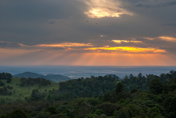 Bushwalking in the Bunya Mountains of South East Queensland offers a journey through lush rainforest, towering bunya pines, and panoramic vistas, inviting adventure seekers into nature's embrace.