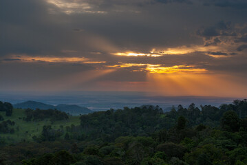 Bushwalking in the Bunya Mountains of South East Queensland offers a journey through lush rainforest, towering bunya pines, and panoramic vistas, inviting adventure seekers into nature's embrace.