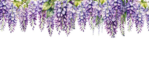 watercolor branch of beautiful hanging  wisteria flowers, png file on white background. or isolated or cutout object 