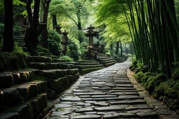 Stone path winding through bamboo forest, surrounded by lush greenery