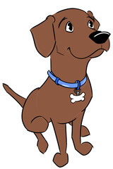 This is an illustration of a Labrador retriever in a sitting position, “Chocolate “.