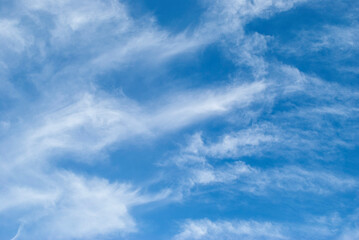 Obraz premium gentle cirrus clouds in a bright blue sky