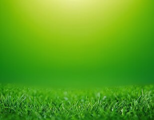 Fototapeta na wymiar Green grass, on a green background. Spring and summer concept. grass texture, blurred background, sun rays. Nature concept. Copy space for text.