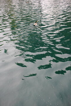 Typical common full frame view of lake water.