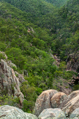 Fototapeta na wymiar Crows Nest National Park in South East Queensland offers panoramic views of rugged cliffs, cascading waterfalls, and lush rainforest, providing a picturesque escape into nature's bounty.