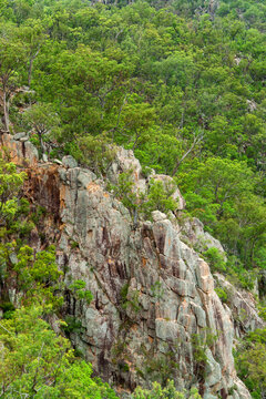 Crows Nest National Park in South East Queensland offers panoramic views of rugged cliffs, cascading waterfalls, and lush rainforest, providing a picturesque escape into nature's bounty.