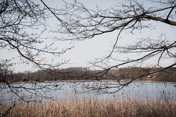 Fototapeta na wymiar view, landscape, lake, water, branches, autumn, scenic, window