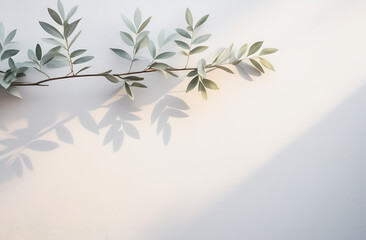 Painting of light reflection on wall with branch. Watercolor pastel colors aesthetic minimalism...