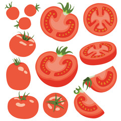 Set of Tomatoes Whole, Half, Quarter, Slice, Angled, Hand Drawn Vector Illustration Set Isolated
