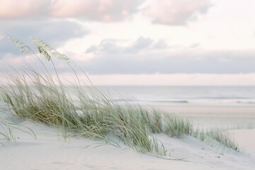 Beach Grass in Soft Focus with Sandy Shore and White Sky. Generative AI.
