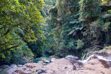 Discover Lamington National Park in SE Queensland! Home to lush rainforests, cascading waterfalls,...