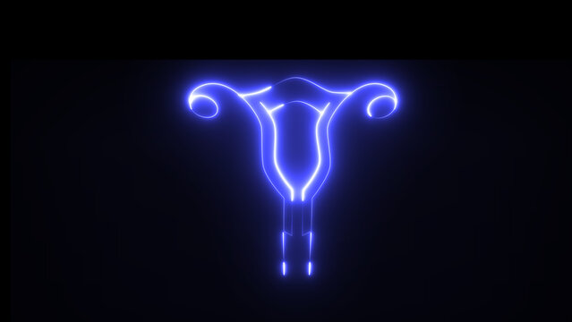 This is female reproductive system and is consisted of overy. Uterus and vagina. The system becomes reproductive after puberty.