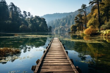 Wooden dock on lake in nature surrounded by trees in ecoregion