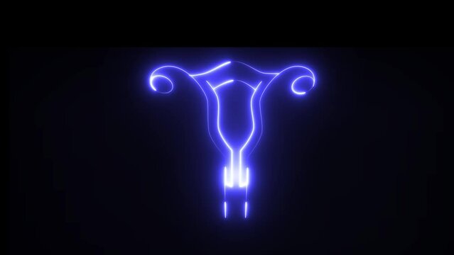 This is female reproductive system and is consisted of overy. Uterus and vagina. The system becomes reproductive after puberty.