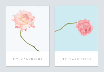 Valentine day greeting card, minimalist pink rose flowers