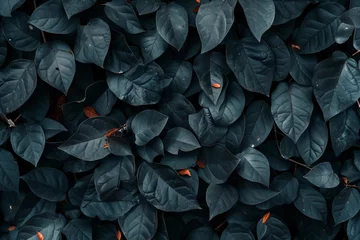 Foto auf Acrylglas leaves background © Hamza