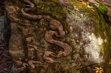 A boulder in a forest during autumn with a snake carving on it