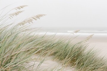 Beach Grass in Soft Focus with Sandy Shore and White Sky. Generative AI.
