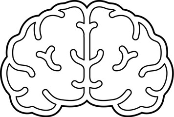 Brain front