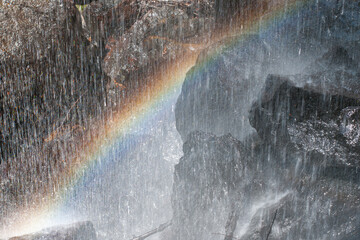 hiking the Waterfall Circuit in Springbrook National Park, South East Queensland, Australia