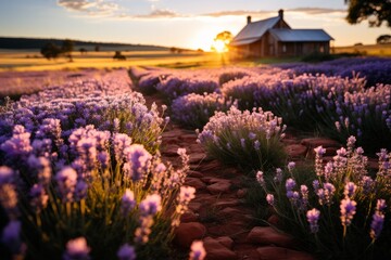 A building surrounded by beautiful lavender flowers in a natural landscape