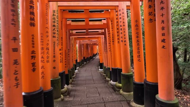 Journey Through Torii Gate Pathway