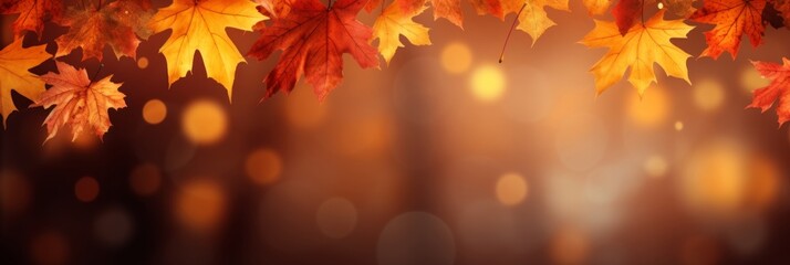 Autumn maple leaves background - obrazy, fototapety, plakaty