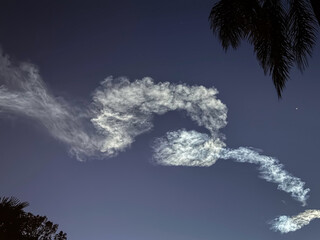 Strange cloud formation at dusk with a silhouette of a palm tree in the foreground, Los Angeles, Southern California
