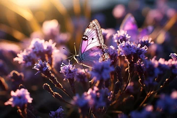 Fotobehang A violet butterfly pollinates a purple flower in the grass © yuchen