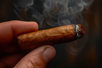 Foto op Plexiglas Hand holding smoking brown cuban cigar with copy space © Ari
