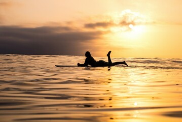 Fototapeta premium surfer at sunset