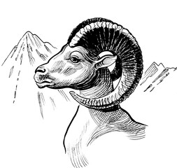 Ram head. Hand drawn retro styled black and white illustration - 761938950