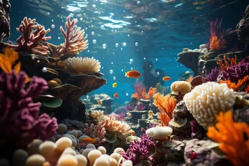 Foto auf Alu-Dibond Vibrant coral reef teeming with fish in the underwater natural environment © yuchen