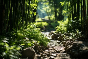 Stone path winding through a bamboo forest on terrestrial plantcovered ground