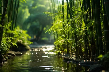 Zelfklevend Fotobehang Water flows through a bamboo forest in the heart of nature © yuchen