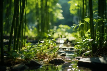 Water flowing through a bamboo forest with trees and rocks