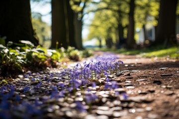Wooded path adorned with purple flower petals under the sunlight - obrazy, fototapety, plakaty