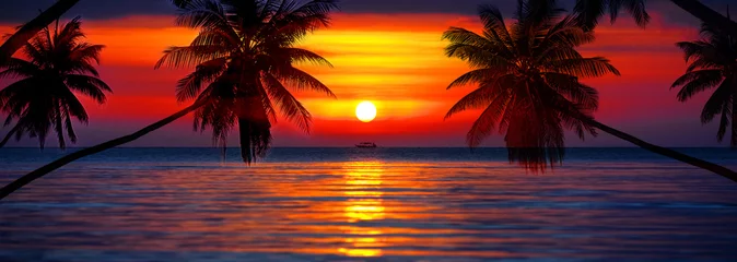  Sunset on tropical island sea beach panorama, ocean sunrise panoramic landscape, palm tree leaves silhouette, colorful orange red sky, yellow sun reflection, blue water waves, summer holiday, vacation © Vera NewSib