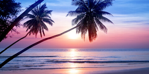 Sunrise on tropical island sea beach, calm ocean sunset, morning dawn panorama landscape, palm tree...