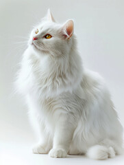 white cat sitting on the ground , transparent white background .AI generative