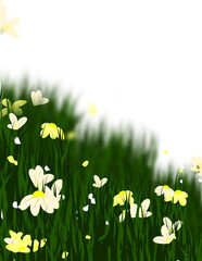 Summer or spring flowers field, Green grass frame background