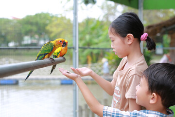 Asian children feeding macaw bird animal in zoo. - 761950934