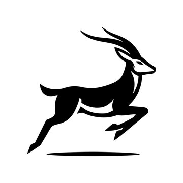 Springbok logo vector. springbok vector illustration. springbok wild animal