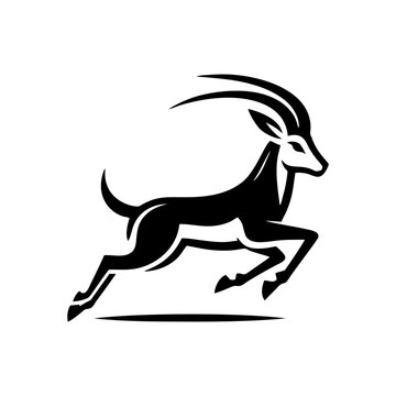 Springbok logo vector. springbok vector illustration. springbok wild animal