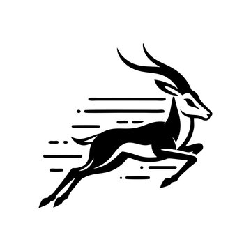 Springbok logo vector. springbok vector illustration. springbok wild animal