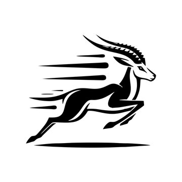 Springbok logo vector. springbok vector illustration. springbok wild animal