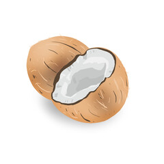 Coconut isolated in white