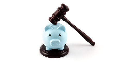 Judge's gavel and blue piggy bank